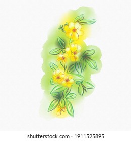Watercolor vector image of smooth yellow flowers on a branch isolated on a white background. Composition for flyer, booklet, brochure, frame, hand drawn style print