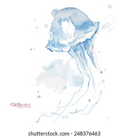 Watercolor Vector Jellyfish