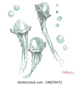 Watercolor vector jellyfish