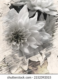 watercolor vector large flowers chrysanthemum branches with gray