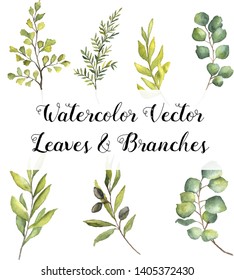 Watercolor vector leaves and branches clip art 