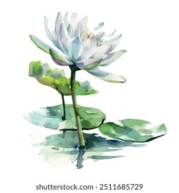 Watercolor vector of lily flower, isolated on a white background, lily painting