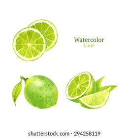 Watercolor Vector Lime