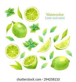 Watercolor Vector Lime And Mint