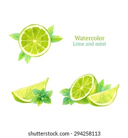 Watercolor vector lime and mint