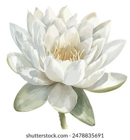 Watercolor vector of Lotus flower (lily), isolated on a white background, Lotus flower vector, drawing clipart, Illustration Vector, Graphic Painting, design art, logo