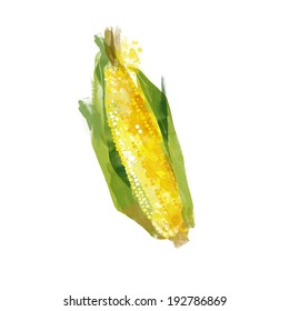watercolor vector maize
,