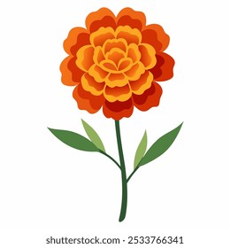 Watercolor vector of Marigold flower, isolated on a white background