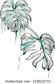 Watercolor vector monstera leaf.  Cards, web design and more. Tropical leaf in vector. Watercolor and graphic, hand drawn vector illustration.