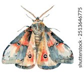 Watercolor vector of Moth, isolated on a white background, and Moth vector