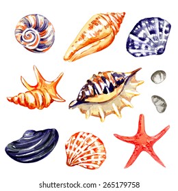 Watercolor vector nautical background. Can be used for wallpaper, banner, pack, web page. Set of seashells and starfish. Sea elements.