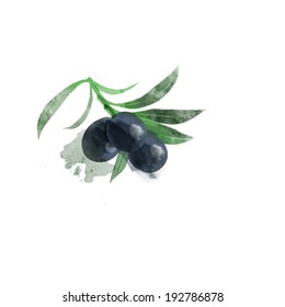 watercolor vector olive