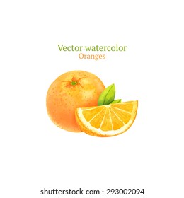 Watercolor vector oranges