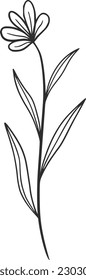 watercolor vector, outline, illustration, nature, flower, summer