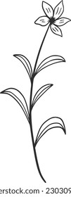 watercolor vector, outline, illustration, nature, flower, summer