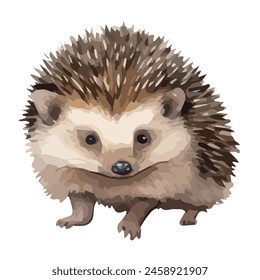 watercolor Vector painting of a Hedgehog, isolated on a white background, Illustration clipart, Drawing art, Graphic design.	