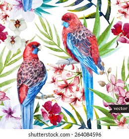 Watercolor, vector, pattern, flowers, tropical, parrot, rosella, bird