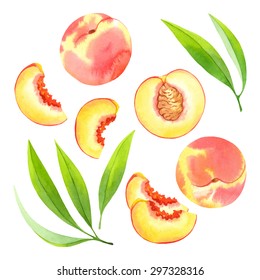 Watercolor Vector Peaches