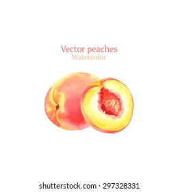 Watercolor vector peaches