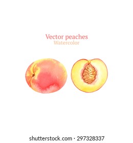 Watercolor vector peaches