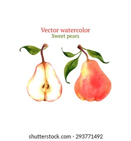 Watercolor vector pears