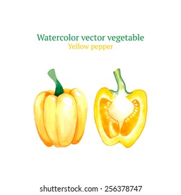 Watercolor vector pepper