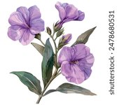 Watercolor vector of petunia flower (violet flower), isolated on a white background, petunia flower vector, drawing clipart, Illustration Vector, Graphic Painting, design art, logo