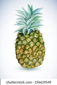 watercolor vector pineapple