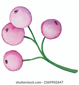 Watercolor vector pink berries for decorating invitations