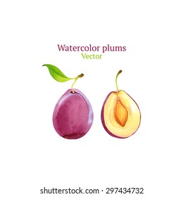 Watercolor vector plums