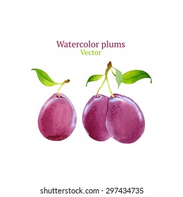 Watercolor vector plums