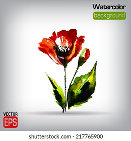 Watercolor Vector Poppies. EPS 10 illustration.