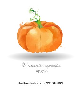 Watercolor vector pumpkin