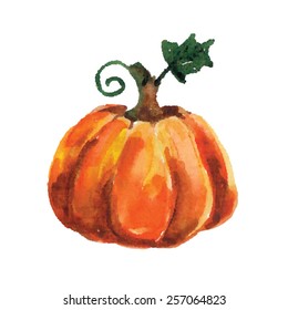 Watercolor vector pumpkin