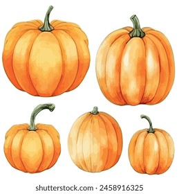 Watercolor vector of pumpkin, isolated on a white background, design art, drawing clipart, Illustration painting, Graphic logo, pumpkin vector	
