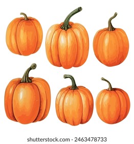 Watercolor vector of pumpkin, isolated on a white background, design art, drawing clipart, Illustration painting, Graphic logo, pumpkin vector