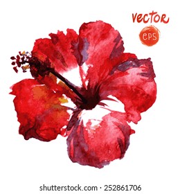 Watercolor vector red hibiscus. Tropical Flowers single element watercolour flower. Isolated on white background. vector element for your design. red exotic paradise hibiscus. painted hibiscus 