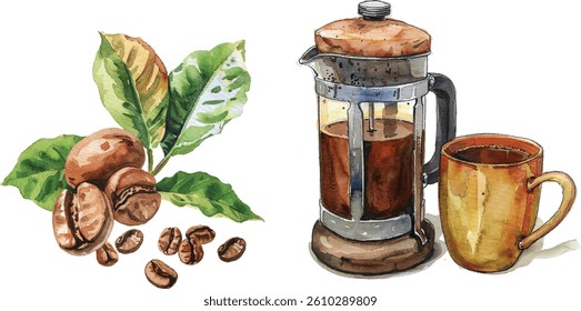 Watercolor Vector of Roasted Coffee Beans, Green Leaves, and French Press with Fresh Brewed Coffee

