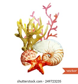 Watercolor, Vector, Sea, Coral, Shell, Composition