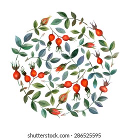 Watercolor vector seamless background with floral elements