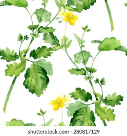 Watercolor vector seamless pattern with floral elements