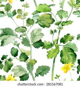 Watercolor vector seamless pattern with floral elements