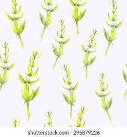 Watercolor vector seamless pattern with green fresh leaves of thyme
