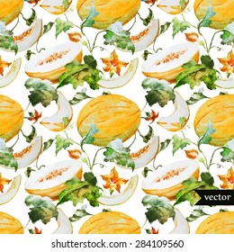 watercolor vector seamless pattern melon plant