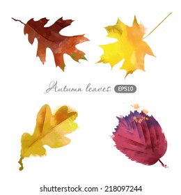 Watercolor vector set of autumn leaves