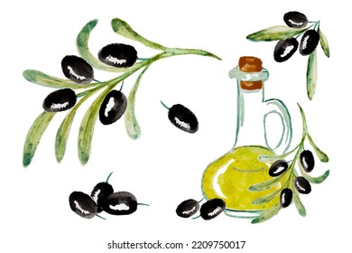 Watercolor vector set with black ripe olive. Hand painted illustration with olive berries, bottle with olive oil and tree branches with leaves isolated on white background. 