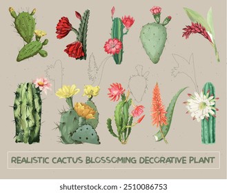 Watercolor vector set of cacti and succulent plants Collection