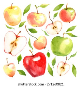 Watercolor vector set of different apples