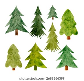 Conjunto de Vector de acuarela de árboles de hoja perenne en tonos verdes. Ilustración de pino y abeto pintada a mano para proyectos de diseño de invierno, bosque o Navidades.