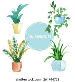 Watercolor vector set of house plants. Vector illustration